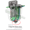 vis de purge/vidange  eau pour filtre/support lucas