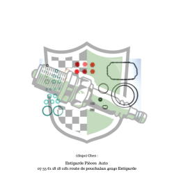 Kit de réparation pompe injection Bosch Atmo