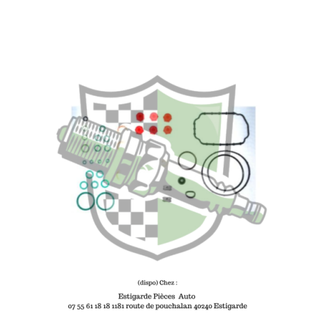 Kit de réparation pompe injection Bosch Atmo