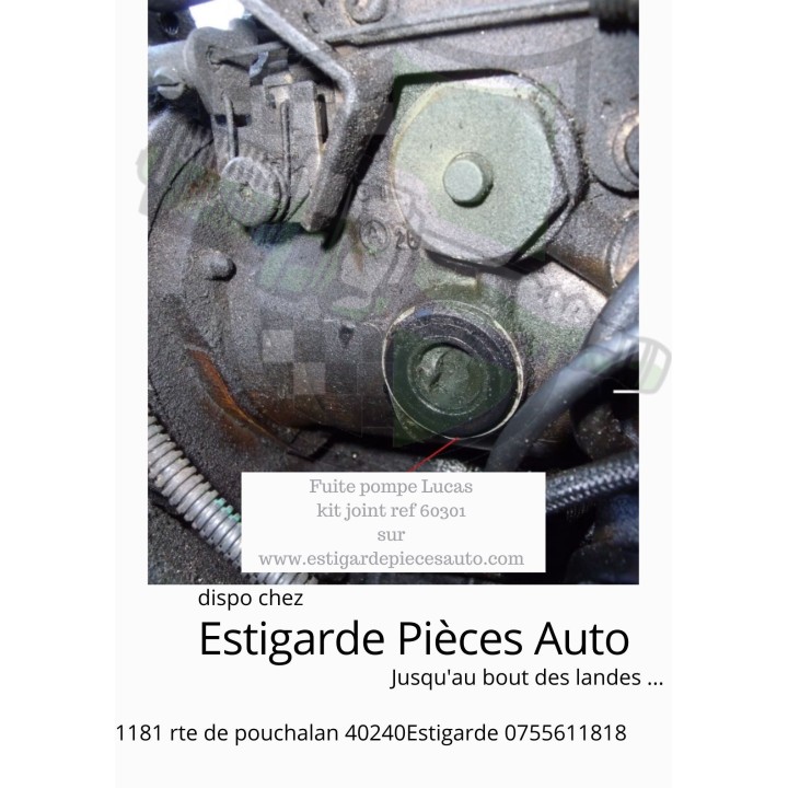 kit de joint pour pompe injection type DPC DELPHI CAV LUCAS ROTO DIESEL