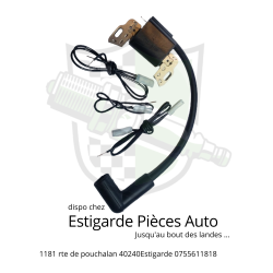 Bobine d'allumage Briggs & Stratton