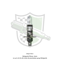 AMPOULE H1 12V 55W