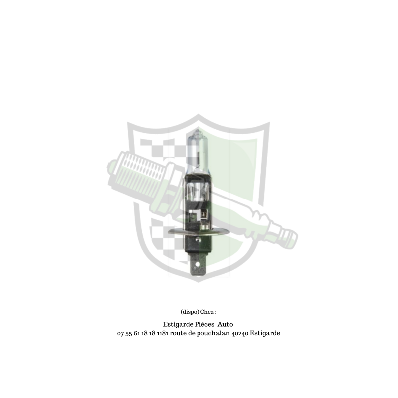 AMPOULE H1 12V 55W