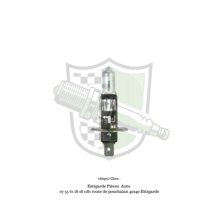 AMPOULE H1 12V 55W