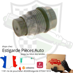 Soupape de décharge de la rampe d'alimentation en carburant