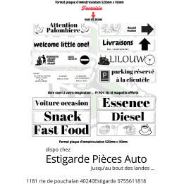 Plaque immatriculation alu plastifiée personnalisable fantaisie