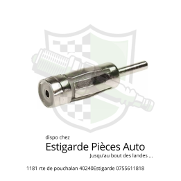 Adaptateur Convertisseur Antenne radio de voiture
