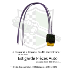 Prise pour pompe a carburant psa renault 4 broches