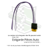 Prise pour pompe a carburant psa renault 4 broches