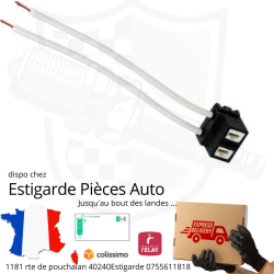 Prise pour ampoule H7