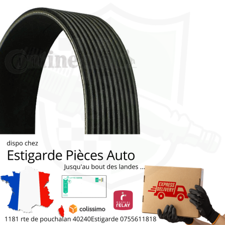 Courroie accessoire 10Pk2233
