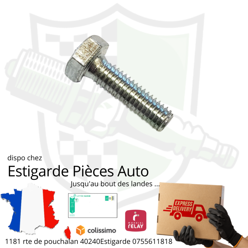 Boulon hexagonal entièrement fileté M6X20 8.8 zing