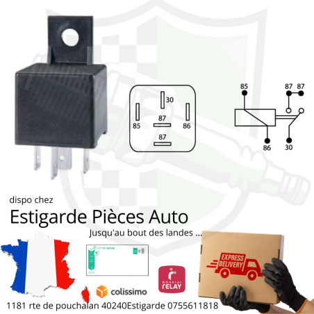 Relais à 5 broches 12V 30A