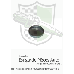 Pastille de dessablage 20.4 mm