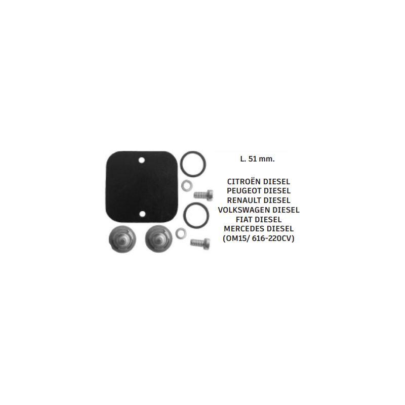 Diaphragme, pompe à vide
