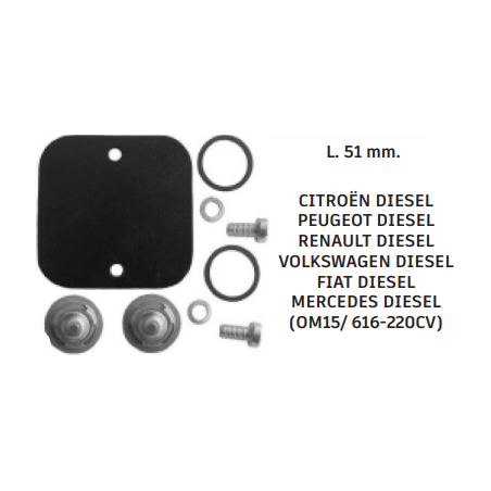 Diaphragme, pompe à vide