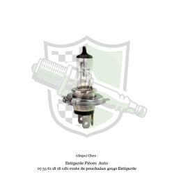 Ampoule h4 12v 55w