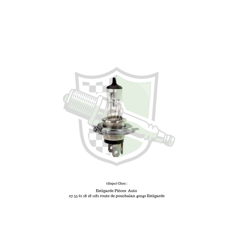 Ampoule h4 12v 55w