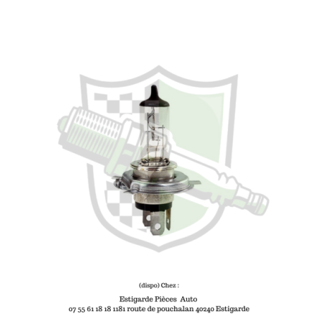 Ampoule h4 12v 55w