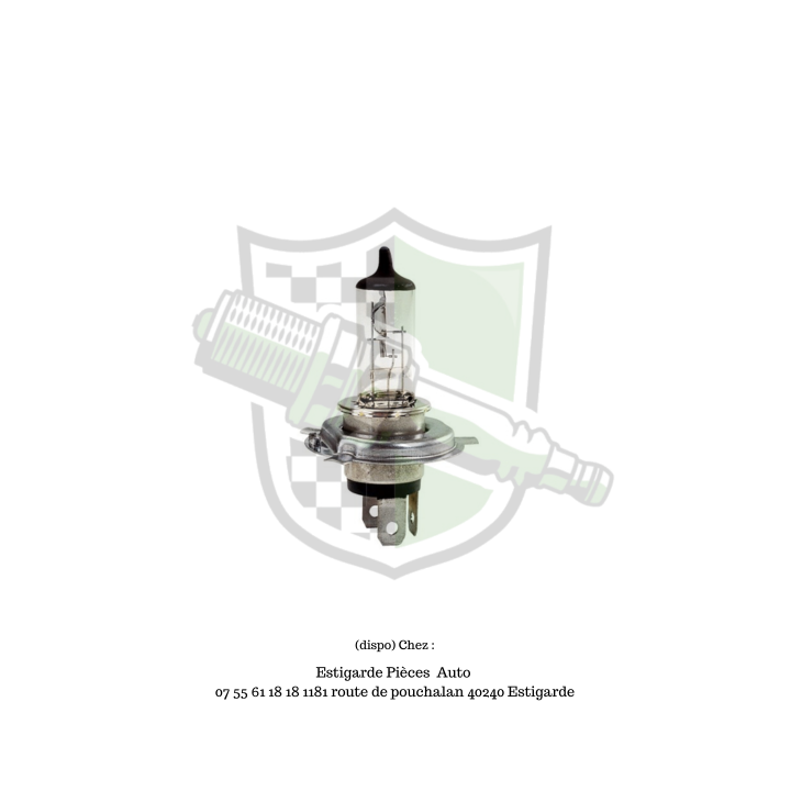 Ampoule h4 12v 55w