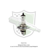 Ampoule h4 12v 55w