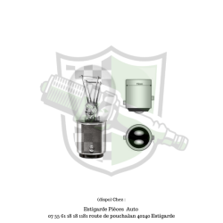 Ampoule 21/5w 12v