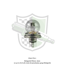 Ampoule R2 Bilux P45T