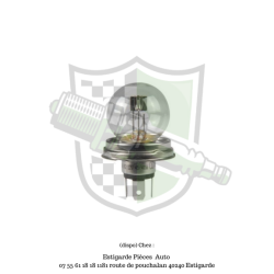 Ampoule R2 Bilux P45T
