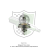 Ampoule R2 Bilux P45T
