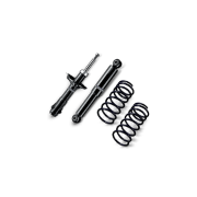 -Suspension